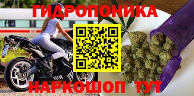 мдпв Тара