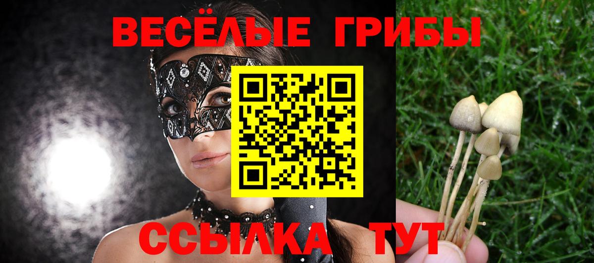купить наркотик  Вход с VPN  Белая Калитва  Галлюциногенные грибы GOLDEN TEACHER 